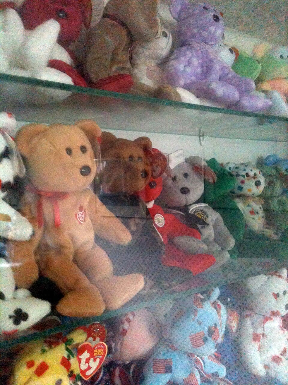 Collection of Ty Beanie Babies plush animals in a display case