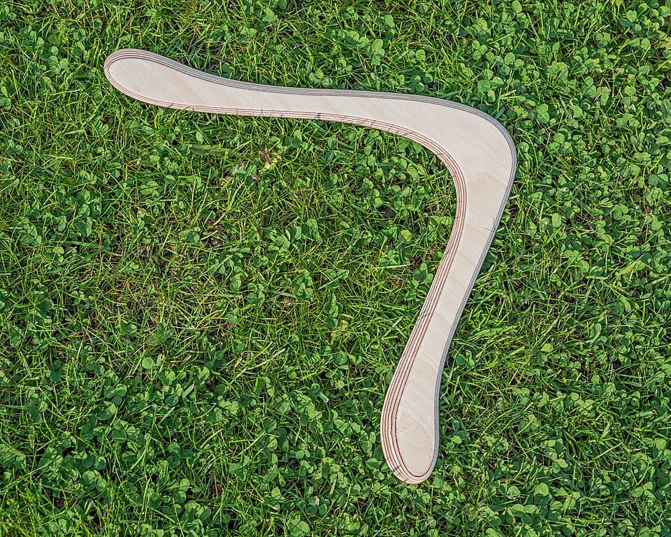 Wooden boomerang on grass