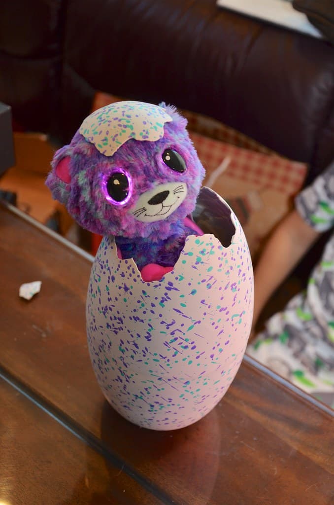 Hatched Hatchimal toy
