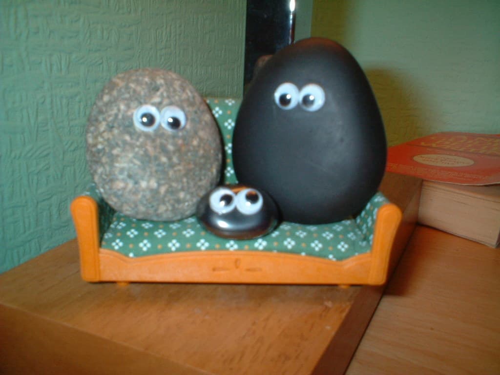 Pet Rock Novelty vintage toy view