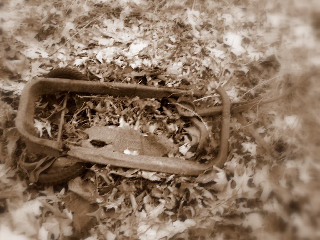 Radio Flyer Wagon product image