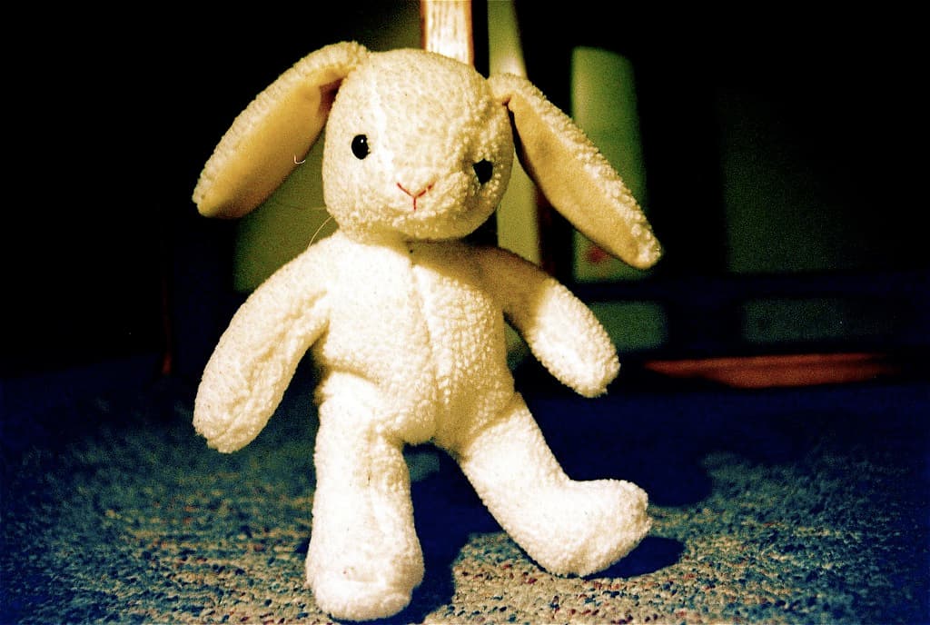 Velveteen Rabbit stuffed toy